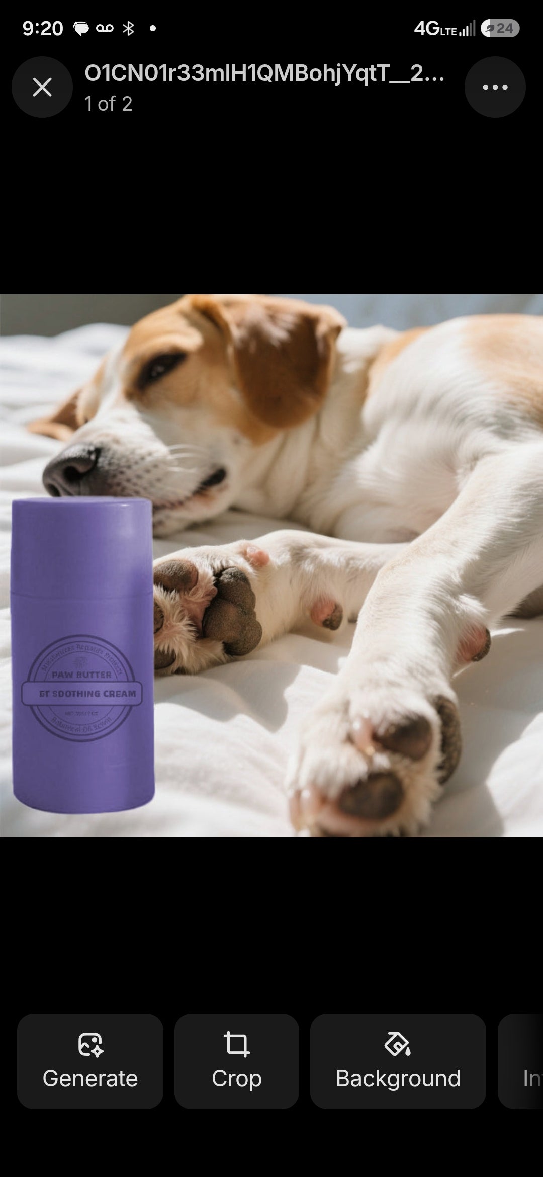 Paws, Snouts and Remedies