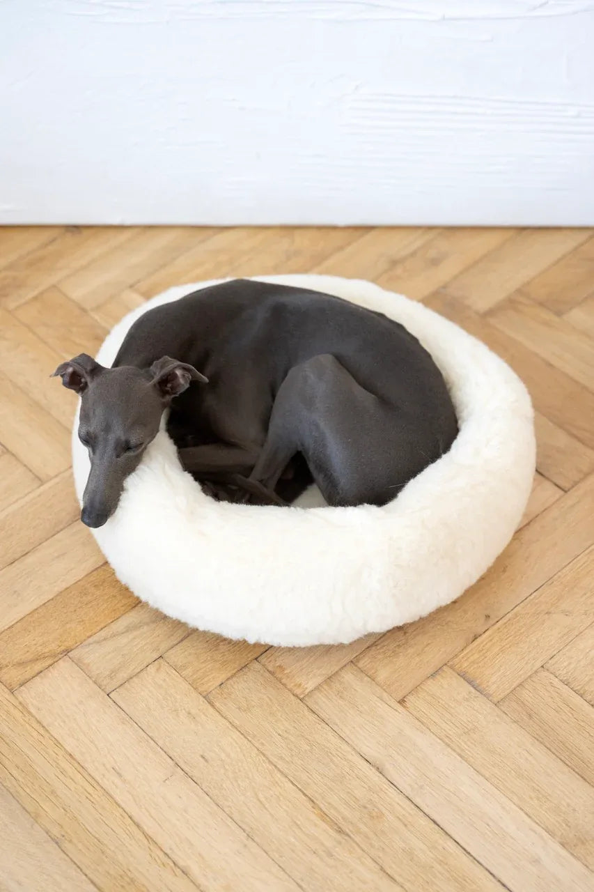 Eco Friendly, All Natural Wool Pet