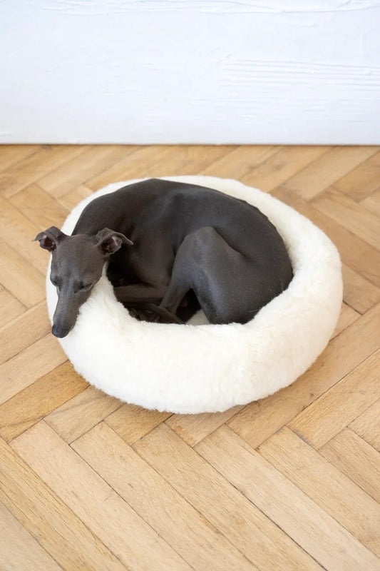 Eco Friendly, All Natural Wool Pet