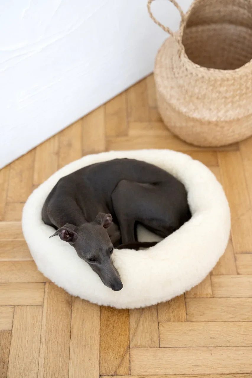 Eco Friendly, All Natural Wool Pet