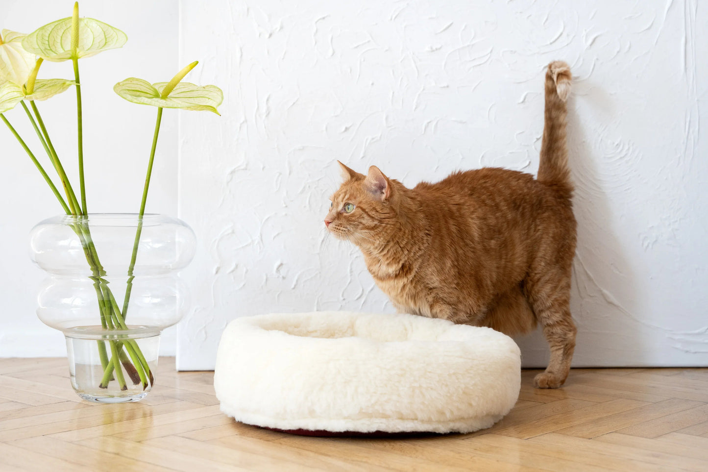 Eco Friendly, All Natural Wool Pet