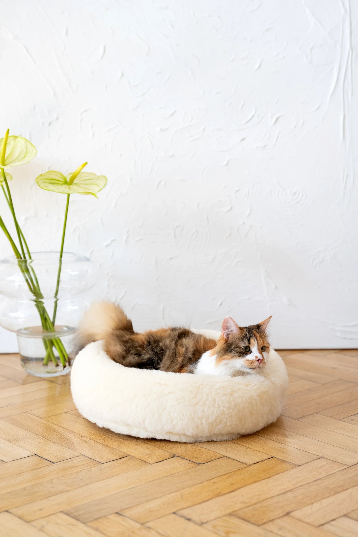 Eco Friendly, All Natural Wool Pet