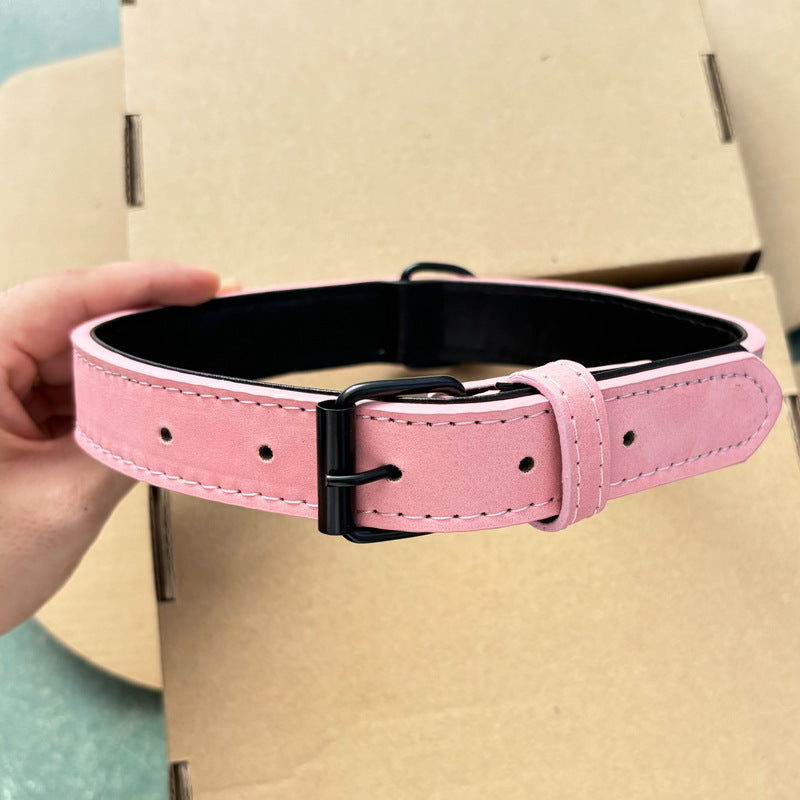 Vegetable-tanned leather dog collar